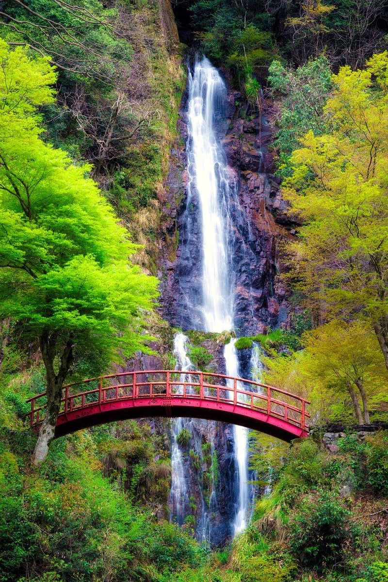 Travel Image